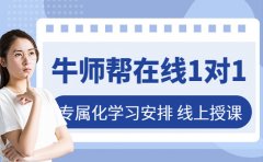 牛师帮在线1对1怎么样 这篇看完保准你懂