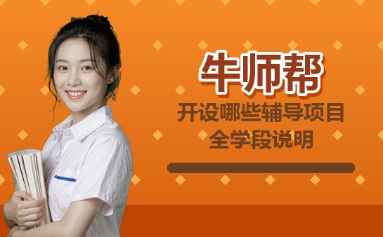 牛师帮辅导项目