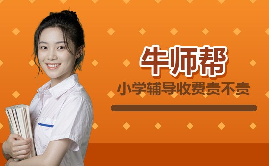 小学在线辅导收费