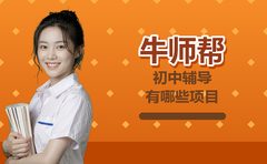 牛师帮初中辅导有哪些项目？按学科说清楚