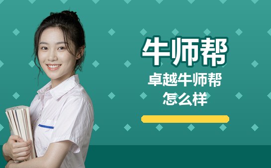 卓越牛师帮一对一怎么样